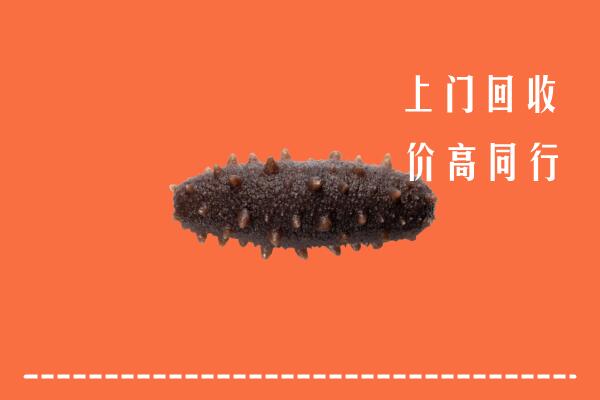 高价求购：白山回收海参